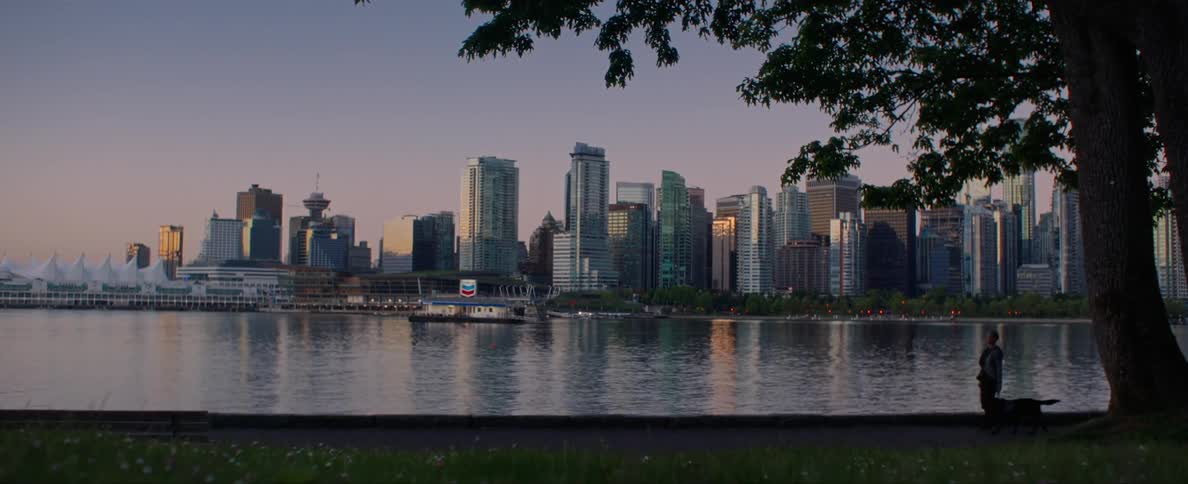 Woman walking a dog on a park near the river in front of the city skyline at sunset