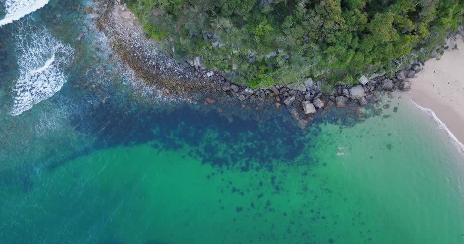 Aerial view of clear water waves along a coast with trees and rocks