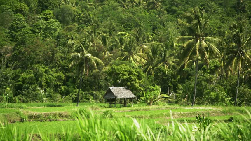 A small wooden canopy sits in the distance before a hillside