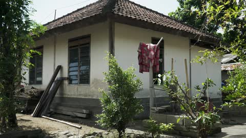 A small home has many trees and bushes around it