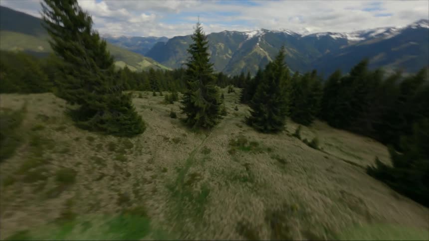 Aerial view of fir trees on mountain slope with mountain ranges in the background