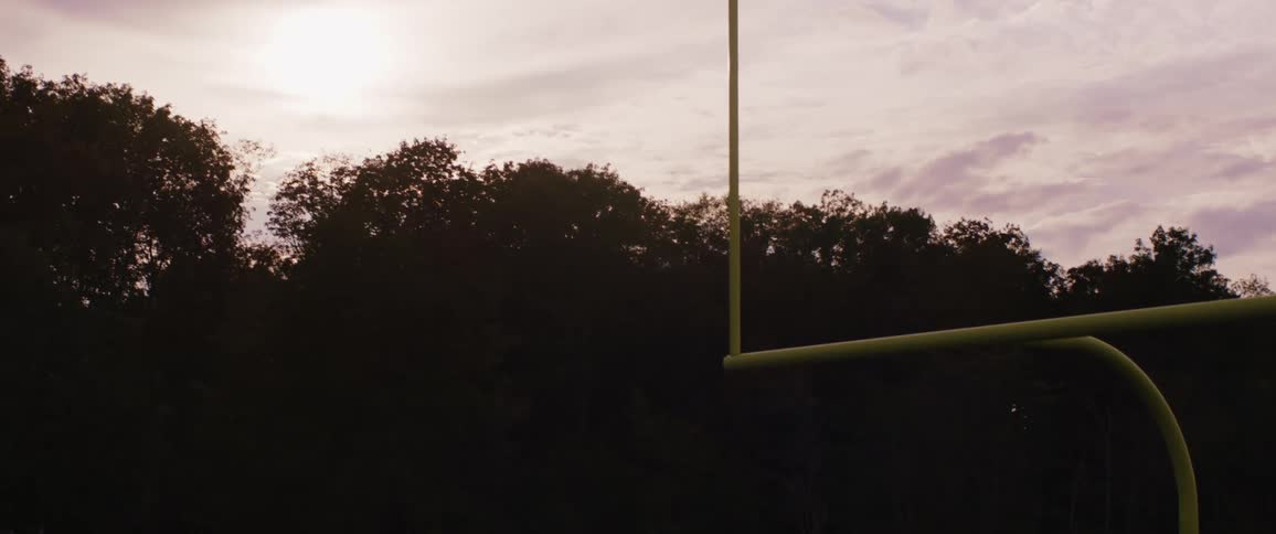 Tall trees surround the field goal pole at a stadium