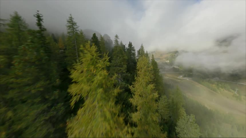 An aerial view of trees in a forest and hills