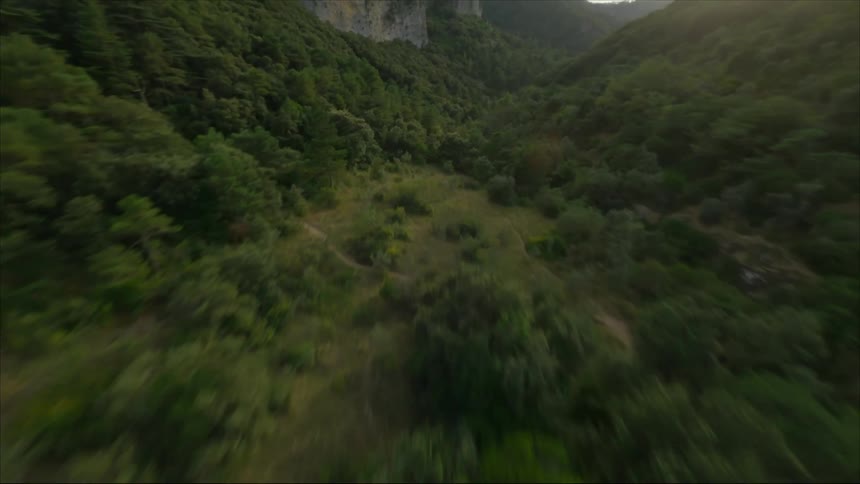 Aerial view of mountains and forest is displayed