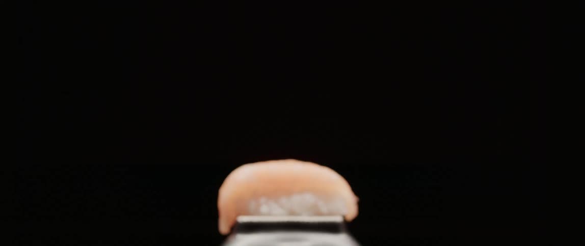 Raw sashimi sits on sushi rice