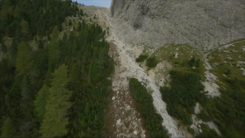 Aerial view of forest covering the mountains is displayed