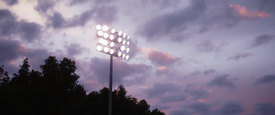 Lights are on the pole by the forest