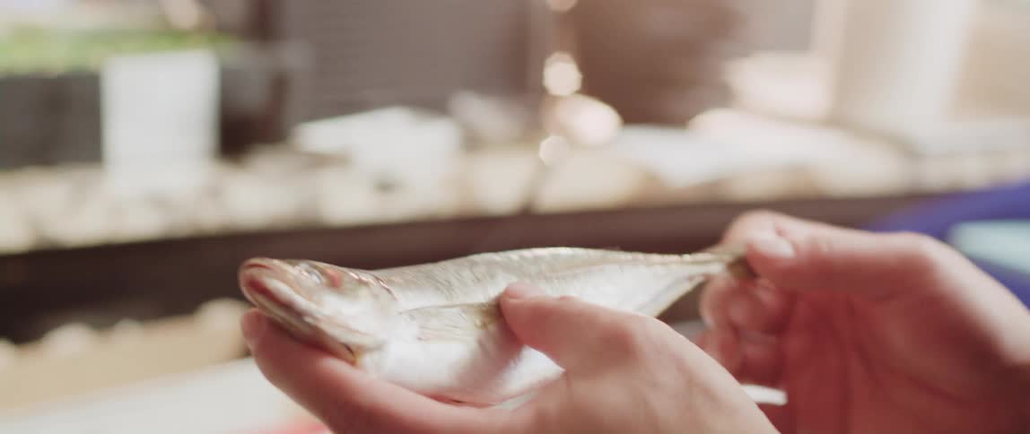 A person is holding a fish in a store