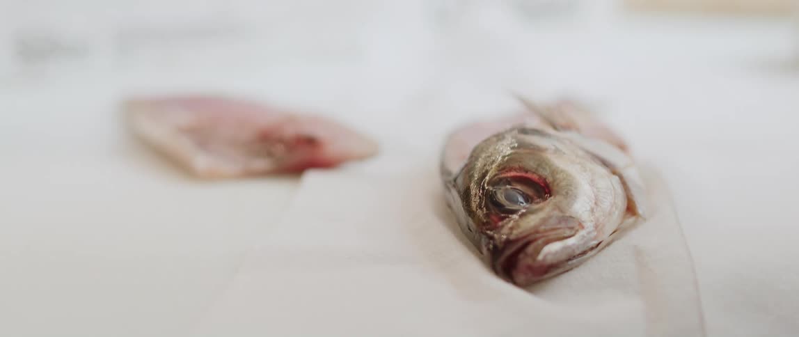 A chef removing a fish filet and popping open its mouth
