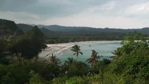 Aerial view of a coastline surrounded by trees and hills