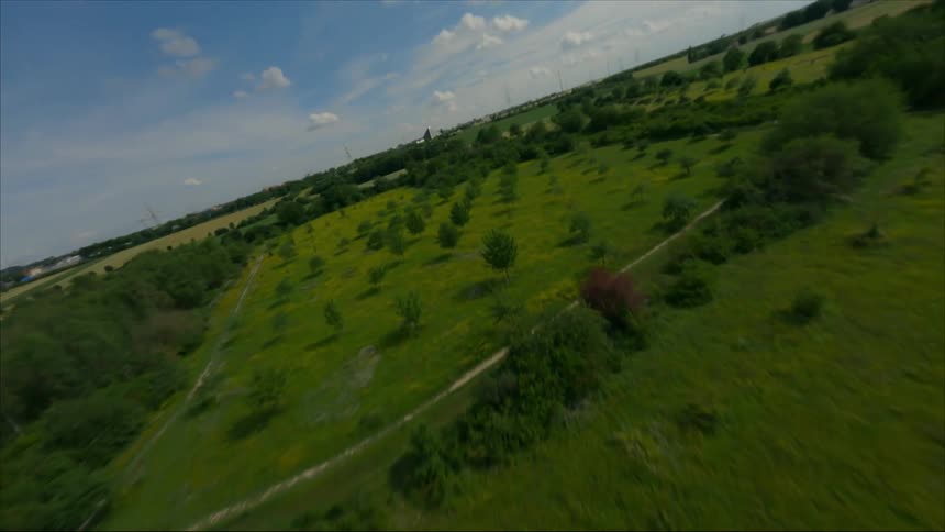 Aerial view of fields of trees on the farmland fields at morning
