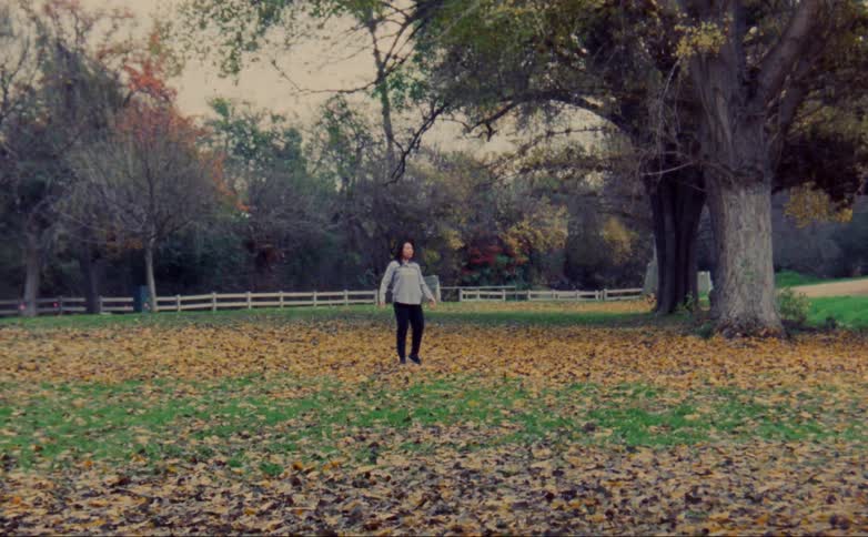 A person is dancing outdoors in the fall