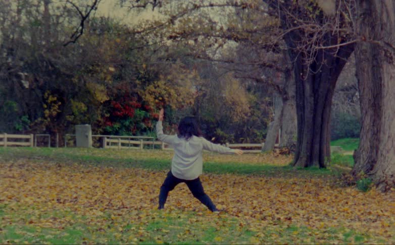 Woman dances among fallen leaves in park as trees screen passing traffic in the background