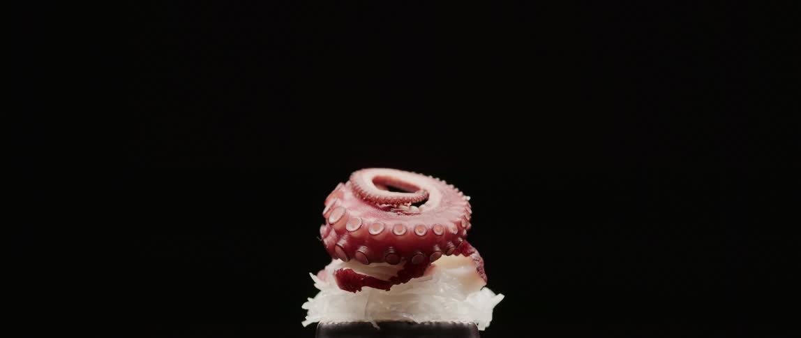 An octopus tentacle plated in front of a solid background