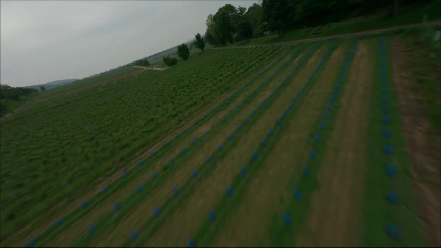 Aerial view of farmlands with dirt road and camper