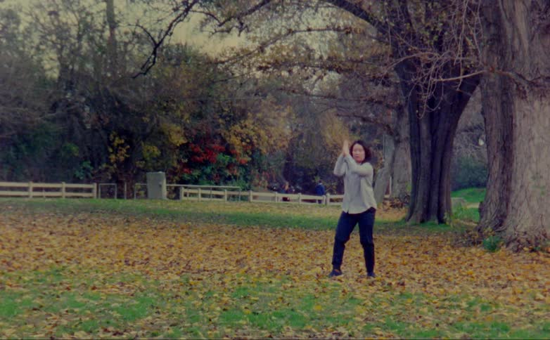 Woman dances in field at park as pedestrians and traffic pass by in the background