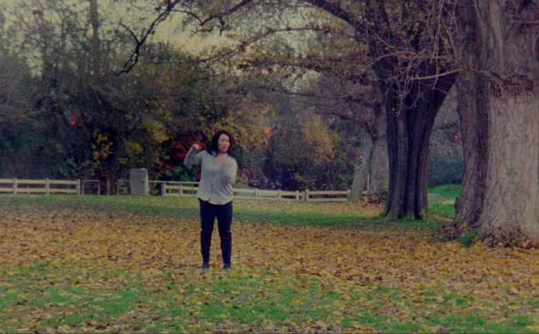 Trees screen traffic in background as woman dances among fallen leaves in field at park
