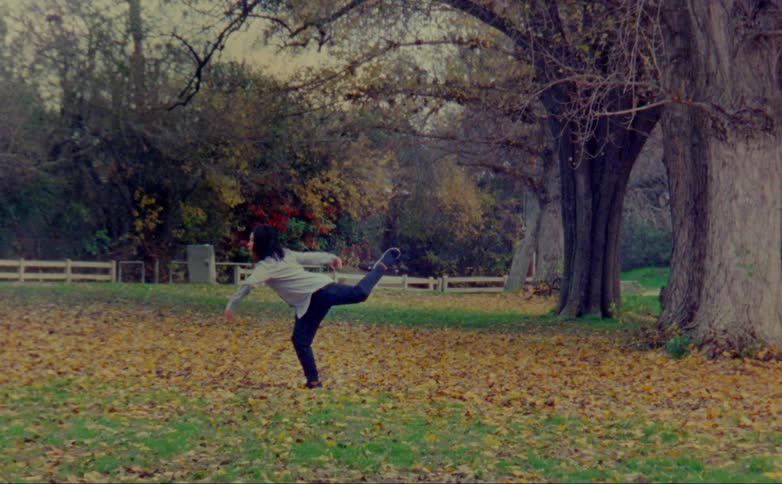 A woman dancing in a field covered in autumn leaves