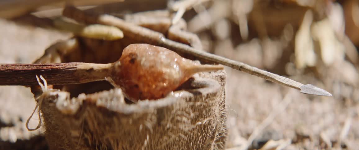Natural wax for arrow making
