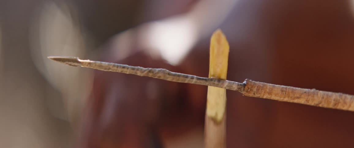 Indigenous african hunters prepping arrow for hunt
