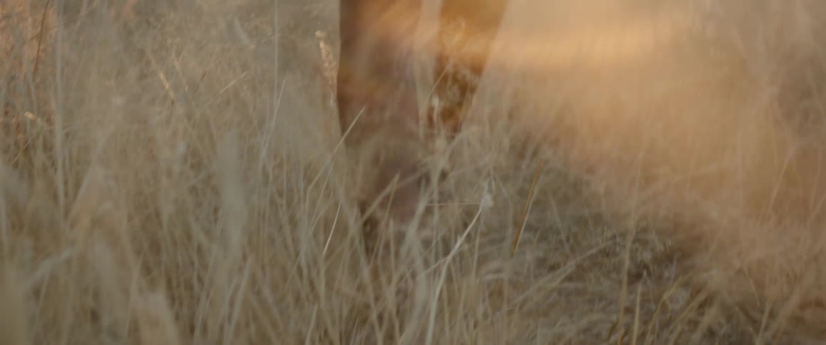 Barefoot people walk across grassland