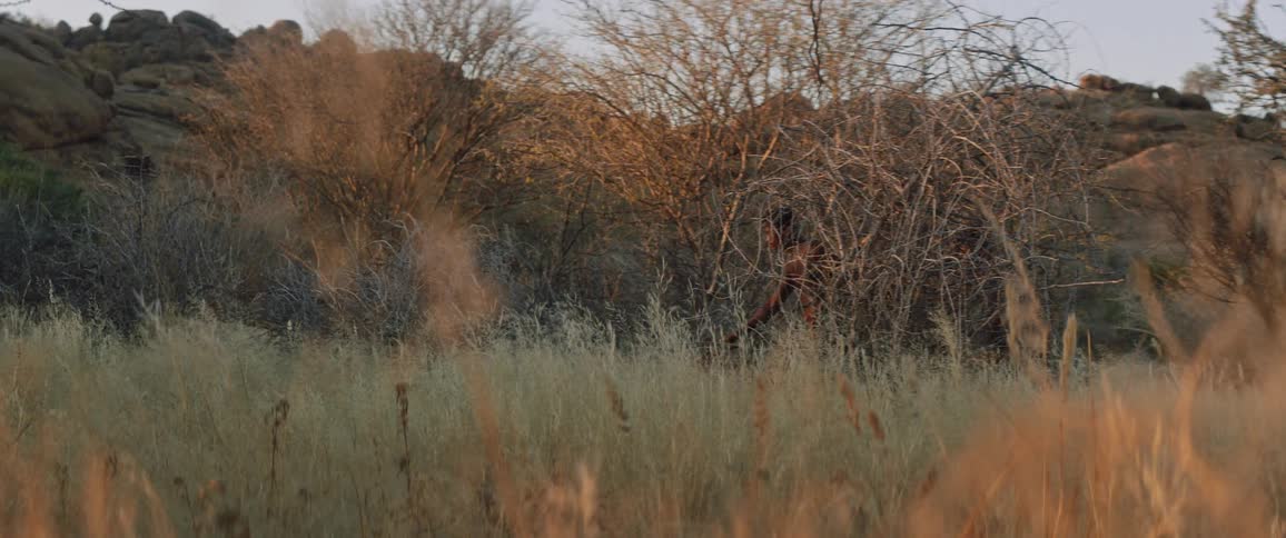 Two hunters walking outdoors