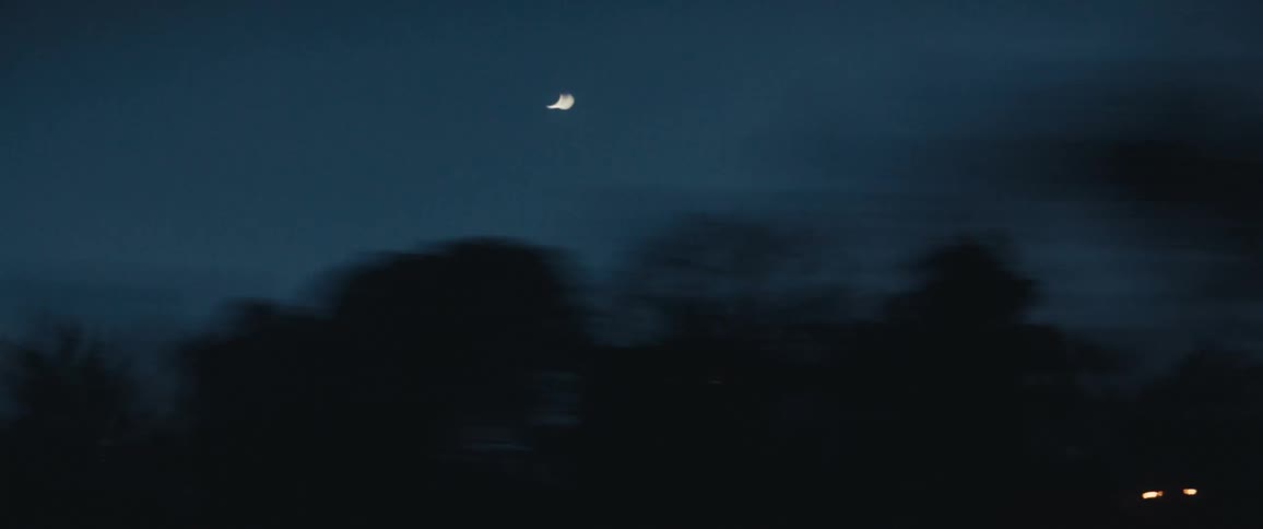 Vehicles driving past trees in the evening