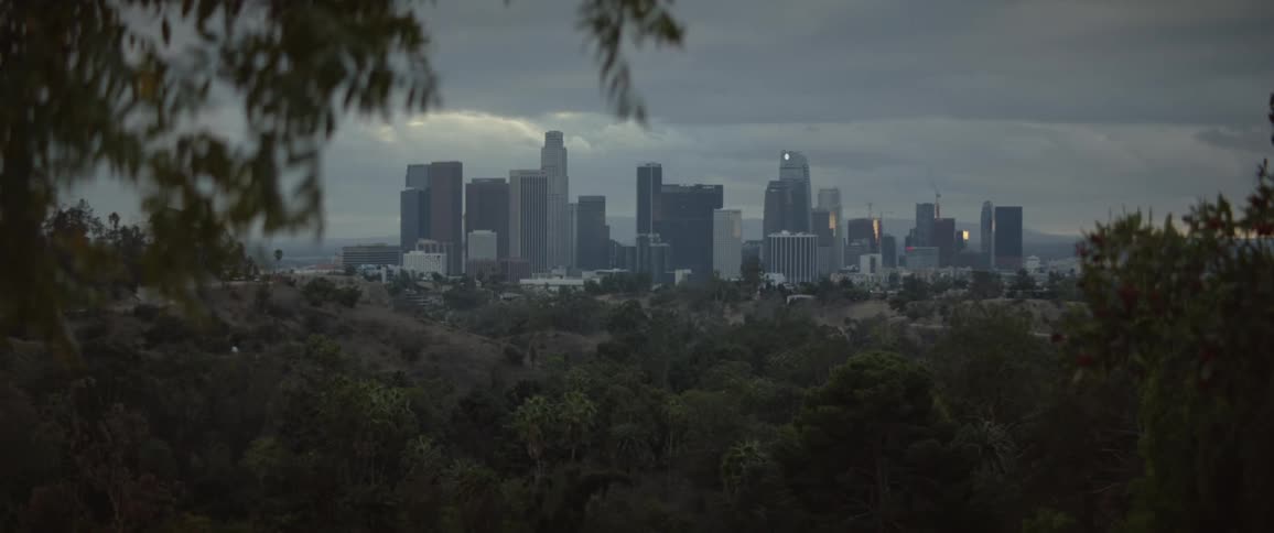Tall buildings in a big city are seen though trees under a cloudy sky
