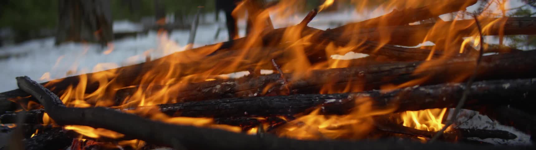 Wood burning in a snowy forest in winter