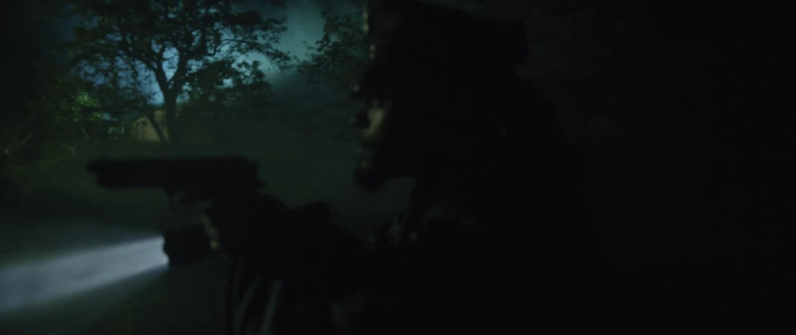 An officer is searching with a gun and light at night