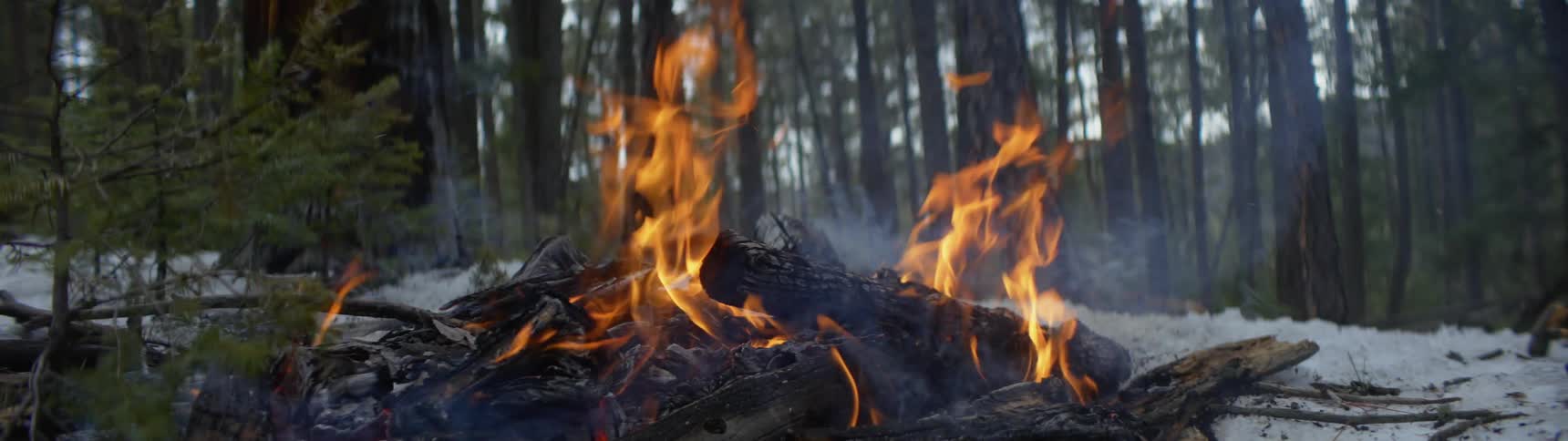 A bonfire is burning outdoors in a forest