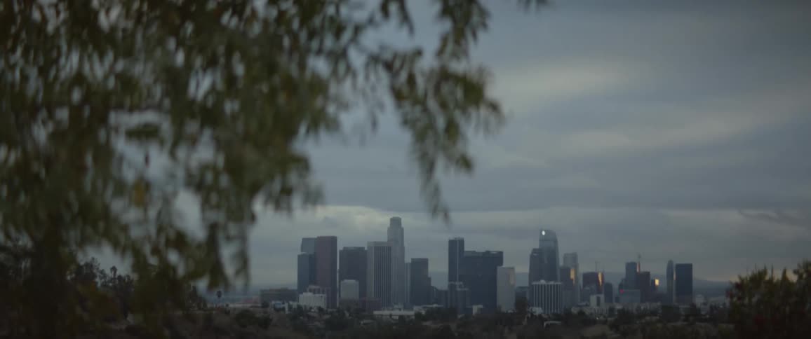 Tall buildings in a big city are seen though trees under a cloudy sky