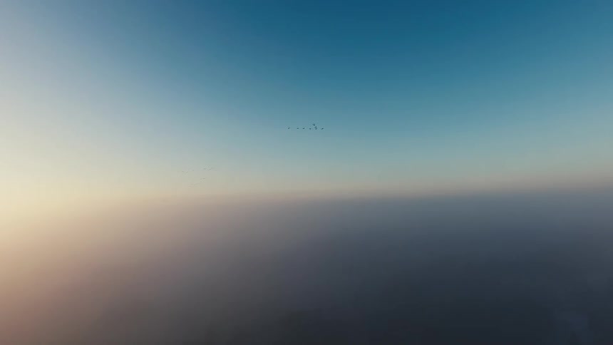 Horizon dims as flock of birds migrate across the sky