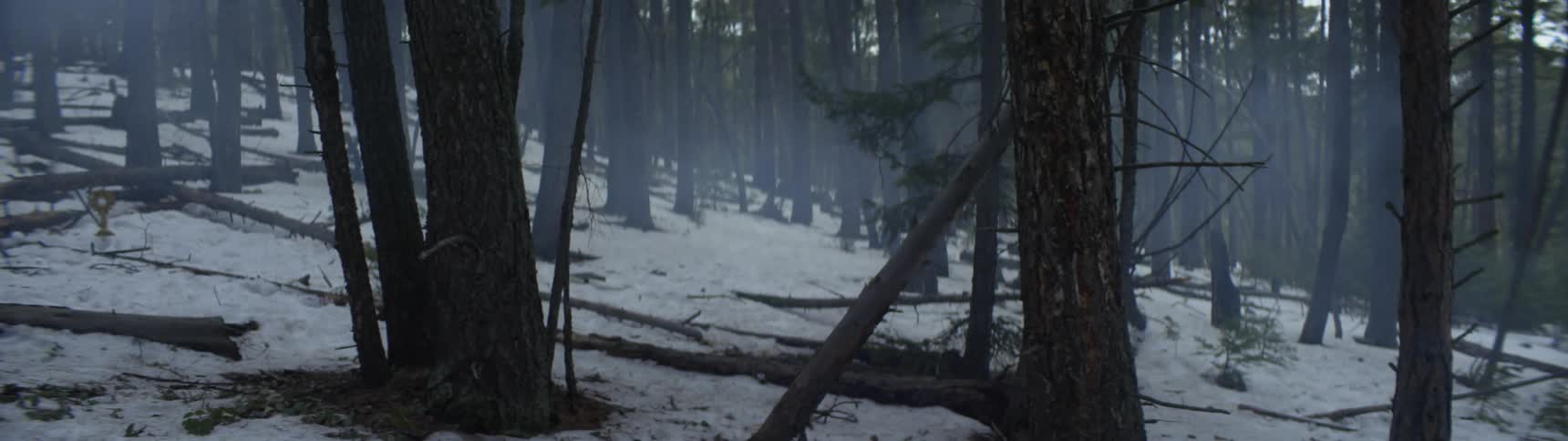 Smoke floats through trees in a snow covered forest