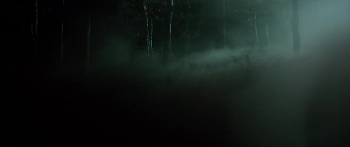 Foggy Forest At Night Foggy Forest At Night