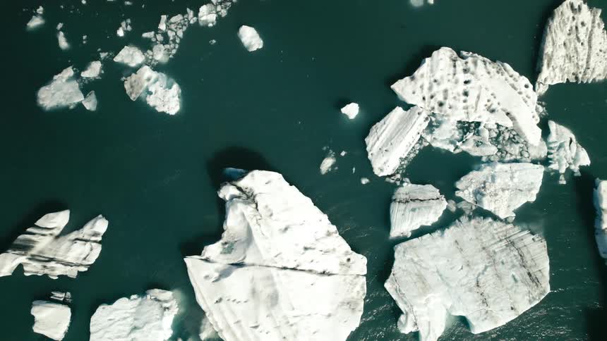 Birds fly over icebergs floating near shore and slowing incoming waves