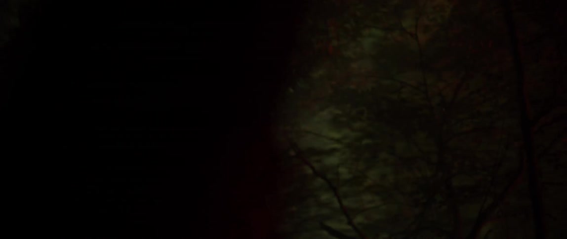 A person runs through a forest where lights are shining