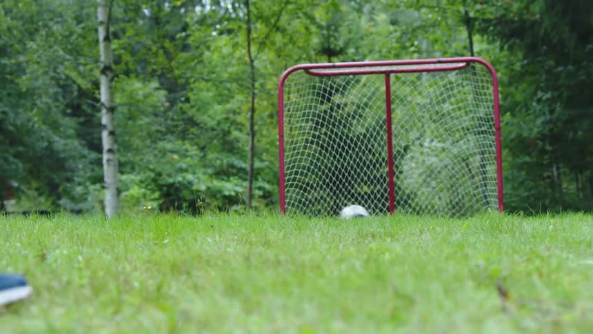 A child kicks a soccer ball into the goal
