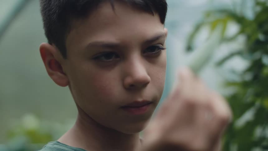 Boy stands near plants examining a leaf