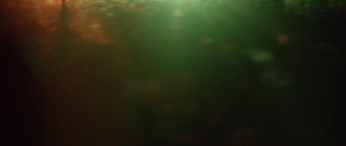 Lights flash in a dark, forested area