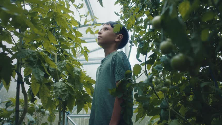 Boy with green t shirt walks in greenhouse