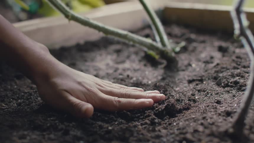 Person plants seed in planter then smooths dirt over