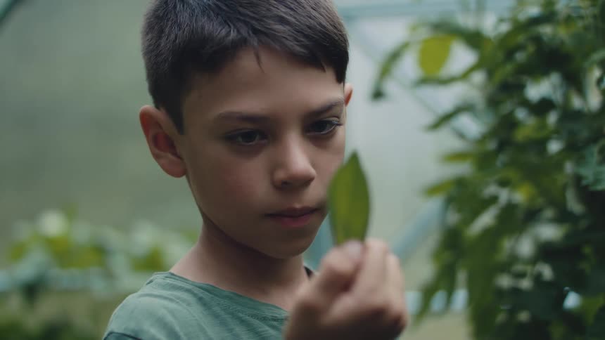 A boy is standing in a garden outdoors in spring