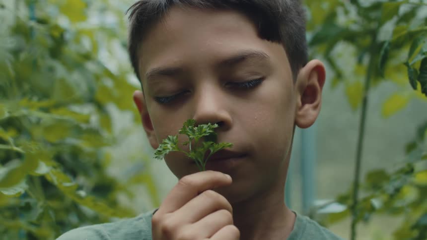 A child is outdoors with plants in spring