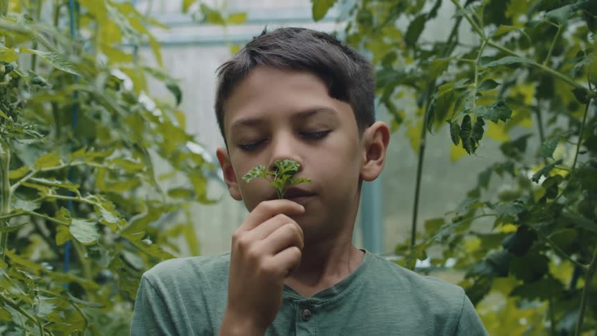 Boy smells herb spring with closed eyes as he stands in greenhouse among plants