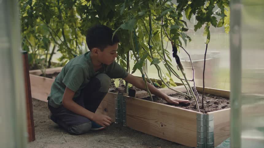 Boy plants seeds in planter next to translucent wall of greenhouse