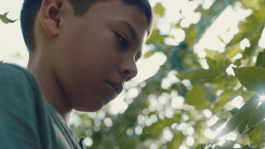 A boy is standing in a garden of plants