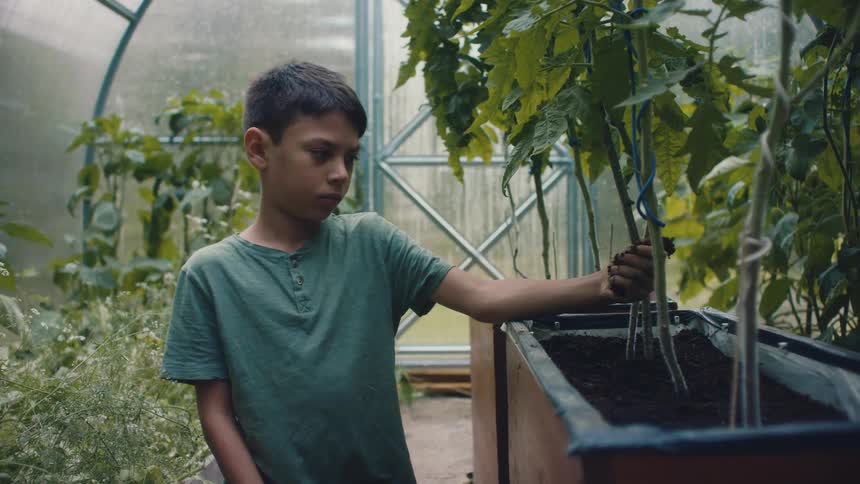 A boy is looking at plants and he plays with the dirt