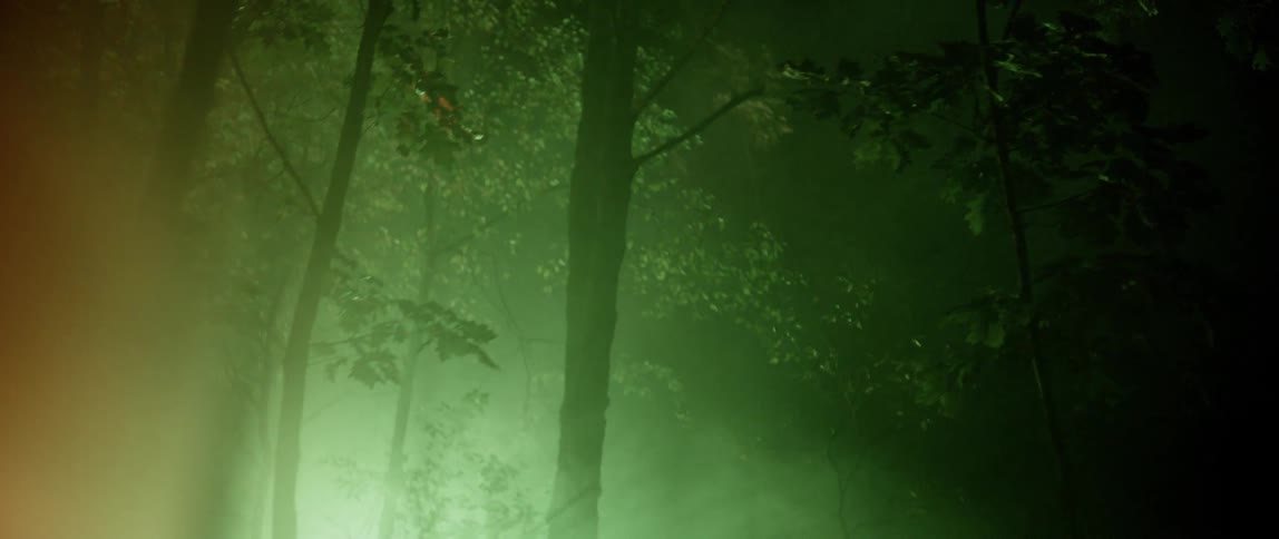 A dark forest partially lit by green lights