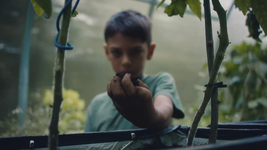 A kid is standing in a garden outdoors in spring